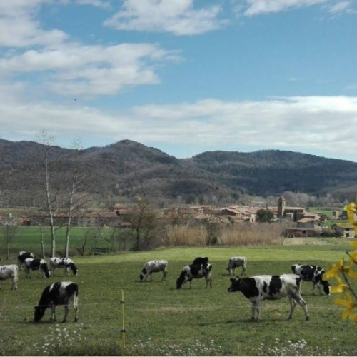 Mas el Molí del Perer
