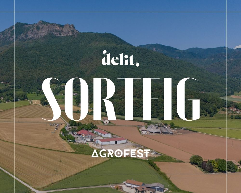 agrofest 26