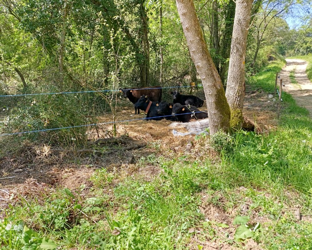 Imatges de la zona accio, cedides per Oscar Rodbag